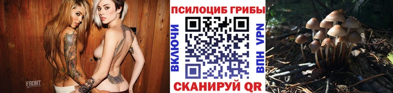 Купить  Усть-Лабинск  Псилоцибиновые грибы ЛСД 